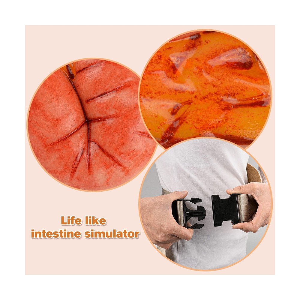 Eviscerated Intestine Simulator, Open Abdominal Wound Packing Trainer, Large ...
