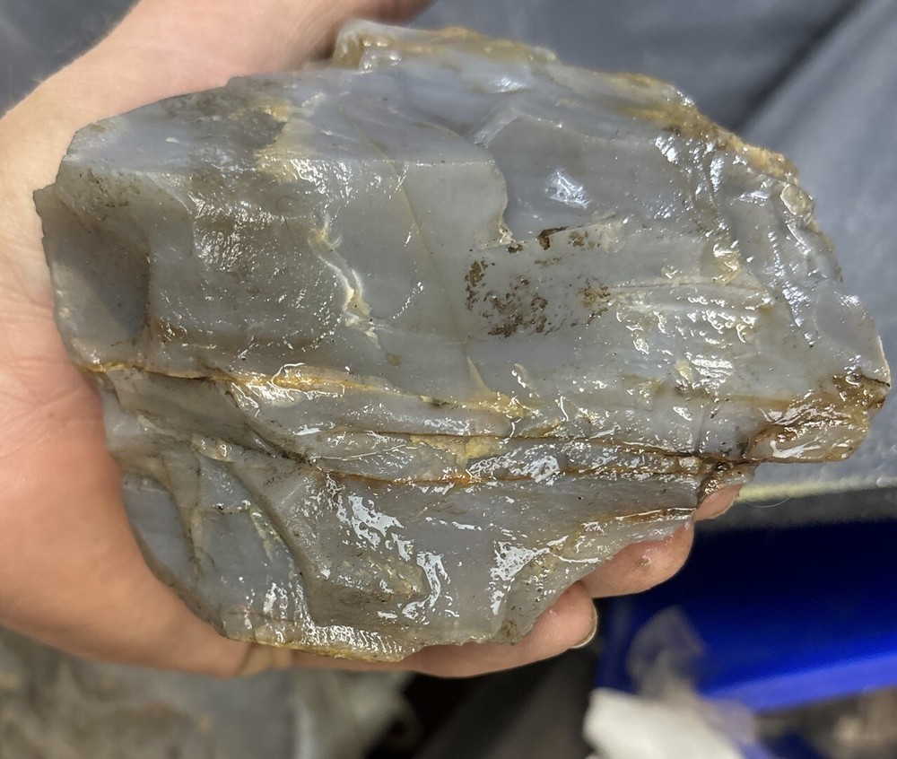 Silver Creek Junction petrified wood
