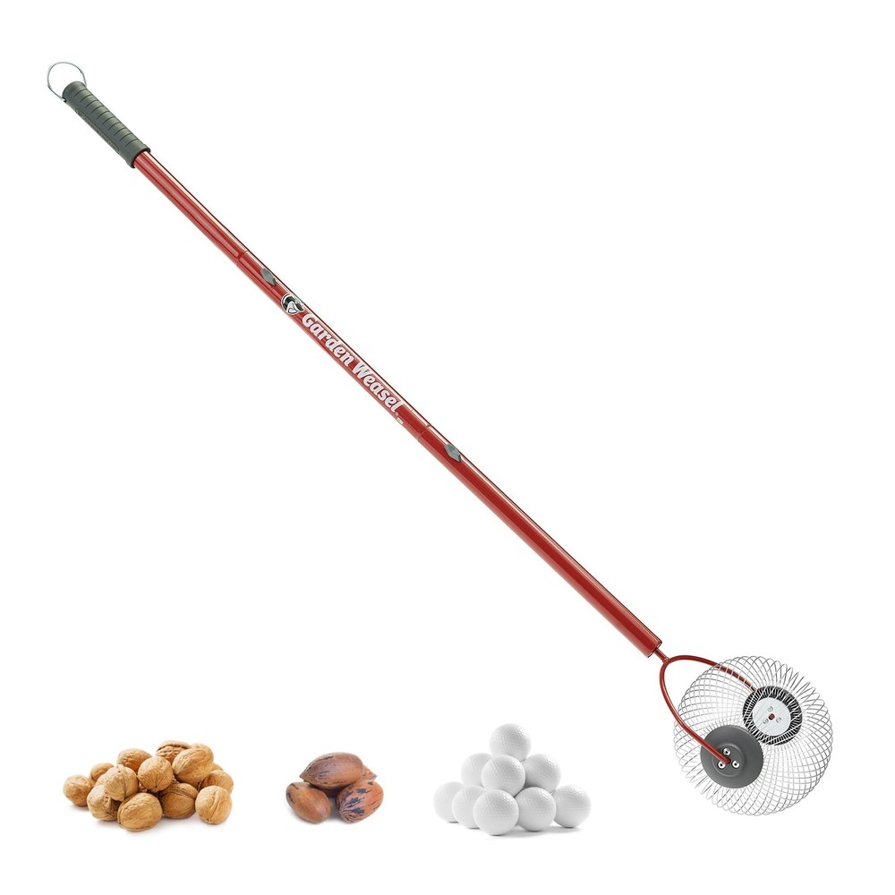 Medium Nut Gatherer Roller – Nut Collector Tool for Pecans, Hickory Nuts, Gol...