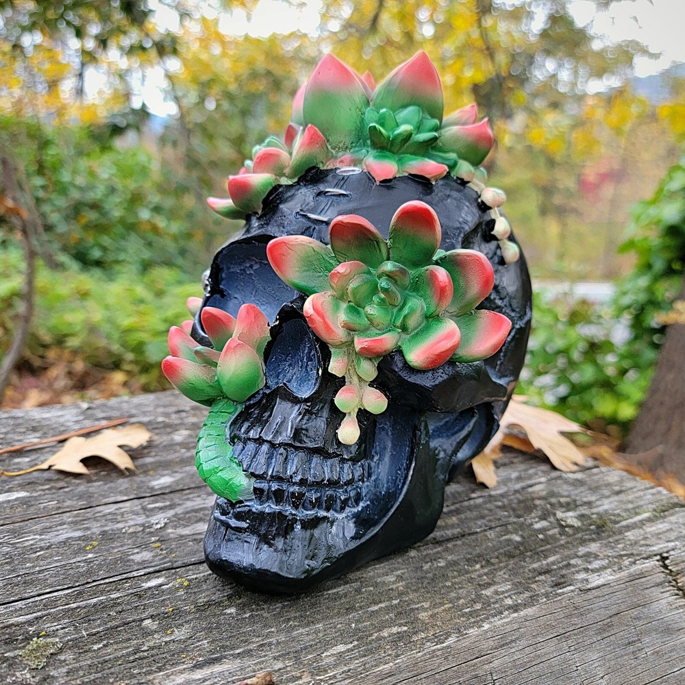 Succulent Infested Black Skull, Goblincore, Oddities Decor