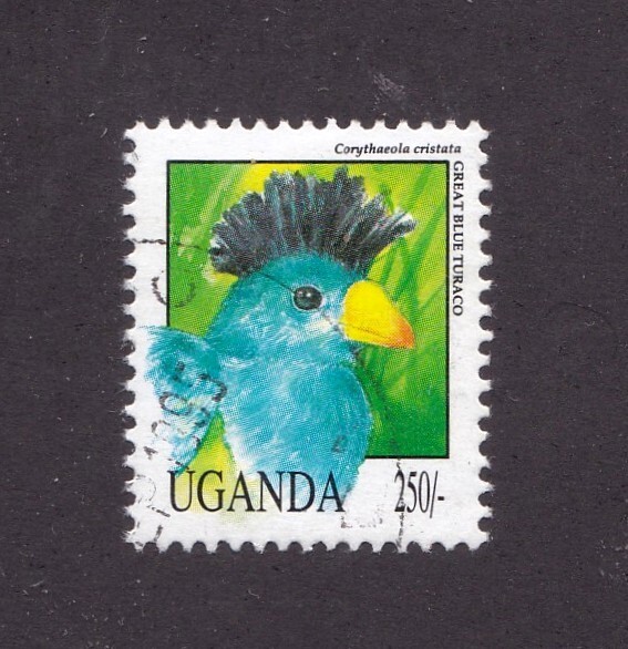Uganda       1070          used