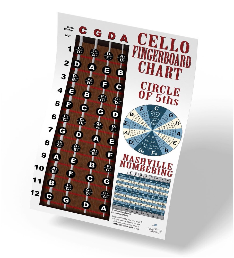 Cello Fingerboard Notes Instructional Poster Beginner Wall Chart Theory