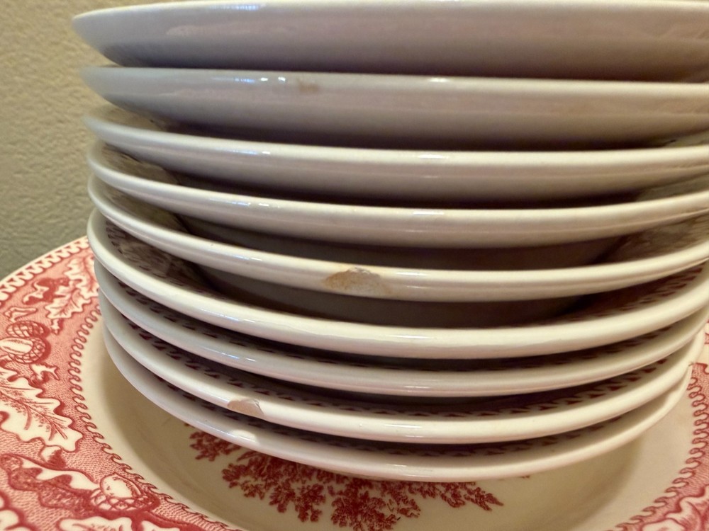 44 PIECE Pink Memory Lane China Set