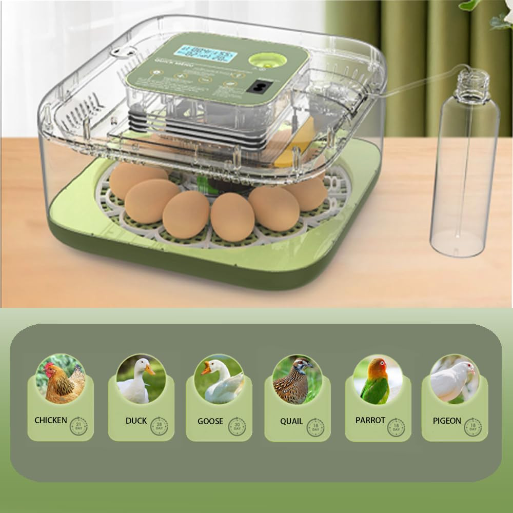 Incubators for Hatching Eggs, 12 Eggs Capacity, Egg Incubator with Automatic Egg