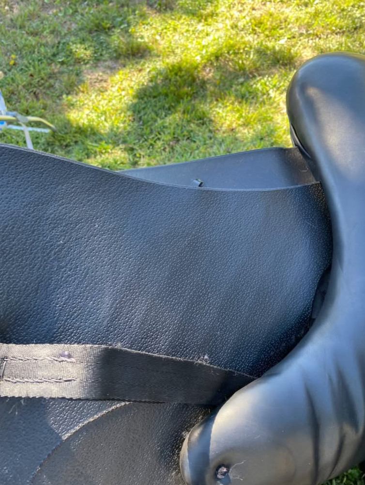 Dressage Saddle 17.5 - Dominus