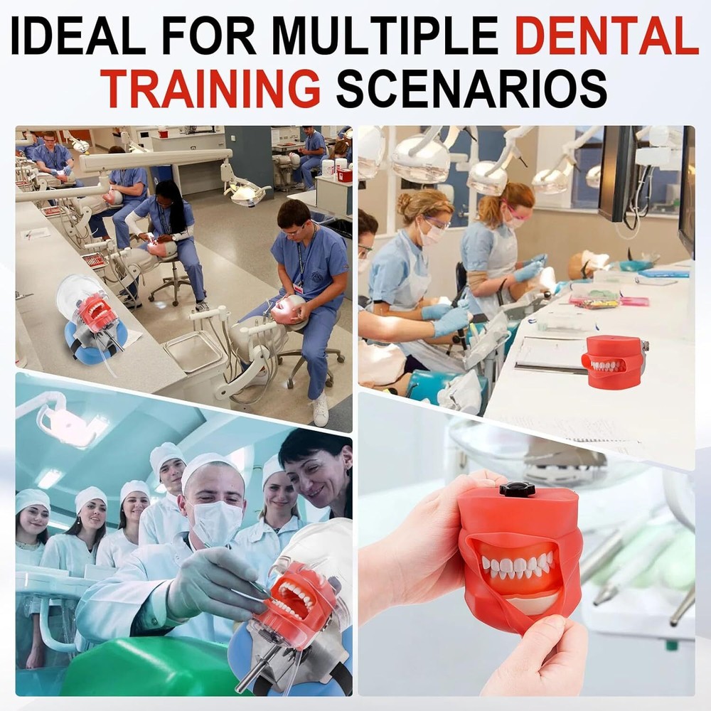 Dental Simulator Mannequin Head Teeth Model Teaching Practicing Head Mold Desk