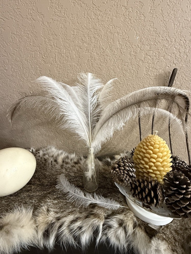 Rhea Feathers FREE SHIPPING