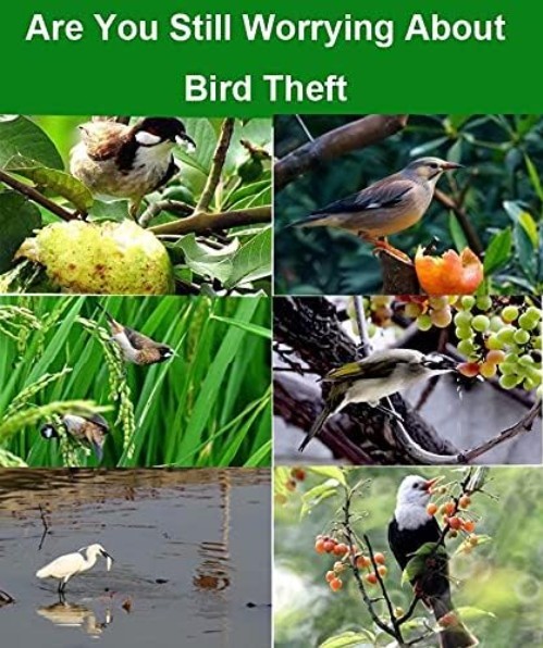 Eco-Friendly 1'' Red Reflective Bird Scare Tape - Durable, Non-Adhesive Solution