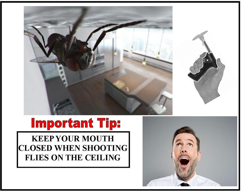 Fly Swatter Gun Insect Bug Pest Killer Spring Loaded Shooter