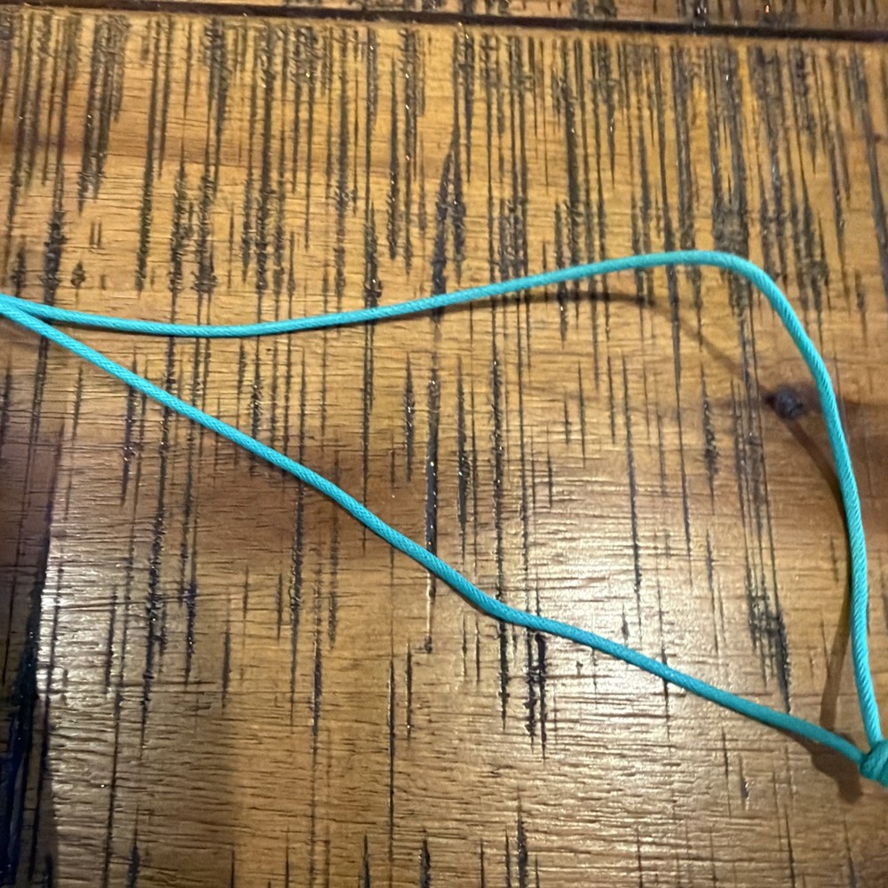 Authentic dior cavas special edition dust bag