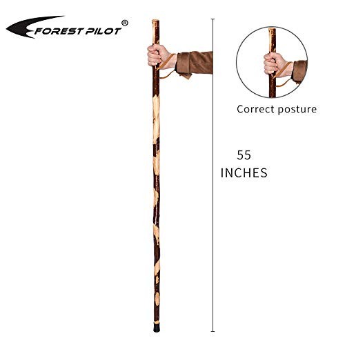 FOREST PILOT BarkKeeping Clumpy Pattern Wooden Walking Stick with a Compass N...