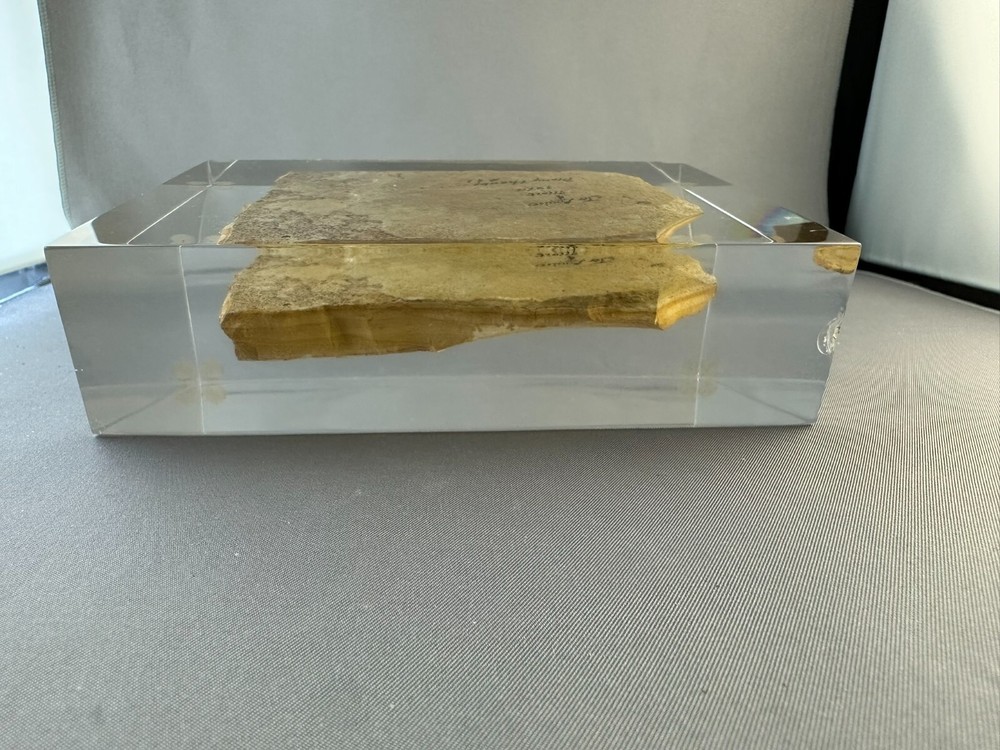 🦴 Fossilized Fish in Stone Matrix 🐟 | Authentic Prehistoric Specimen | Display