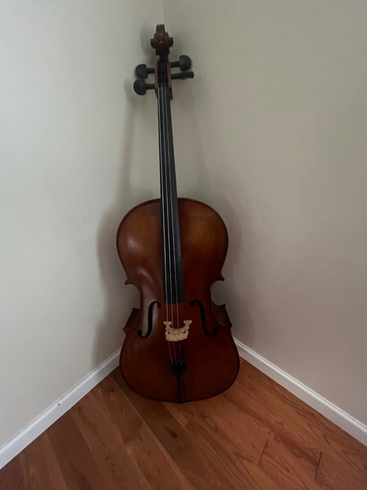 cello string instrument