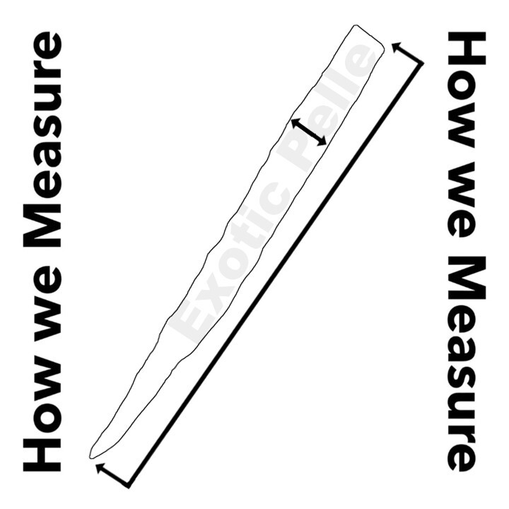 Natural Genuine Anaconda Snake skin Leather hide python real boa rattle 452