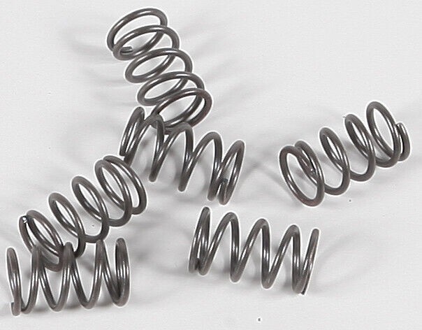 EBC CSK40 Clutch Springs CSK40