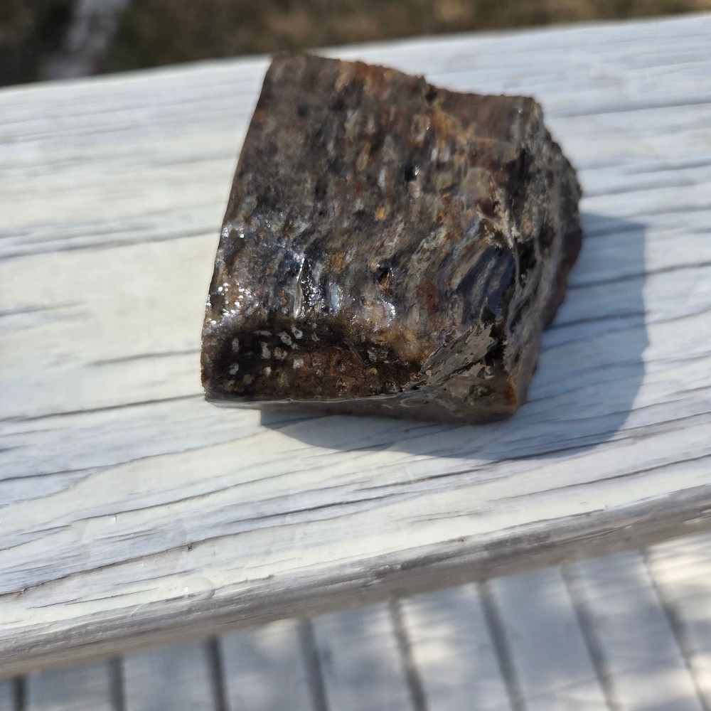 Palm Rough