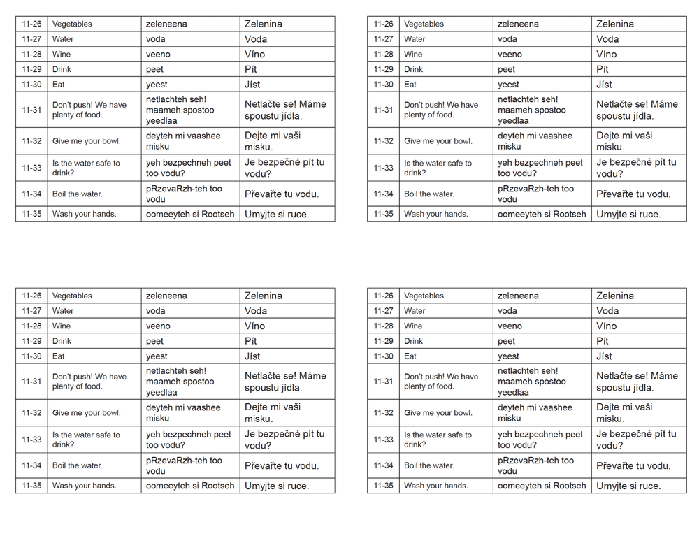 Defense Language Institute DLI BASIC CZECH Text & 600+ MP3 Audio CD