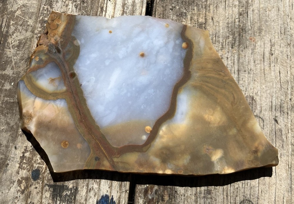 Blue Ice Polka Dot Agate Rough Slab Lapidary Cabbing Display