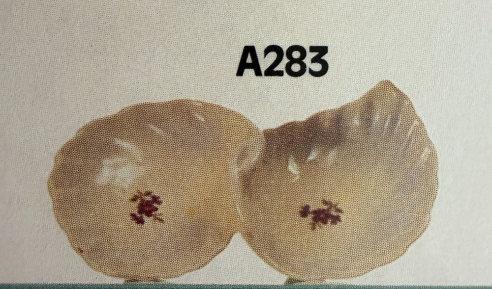 VINTAGE AIR CAPITOL CERAMIC MOLD #A-283 LEAF DISH