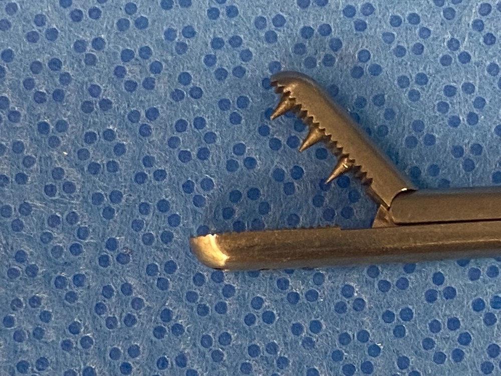 Ratcheting Spiked Grasping Forceps 60-3950-030