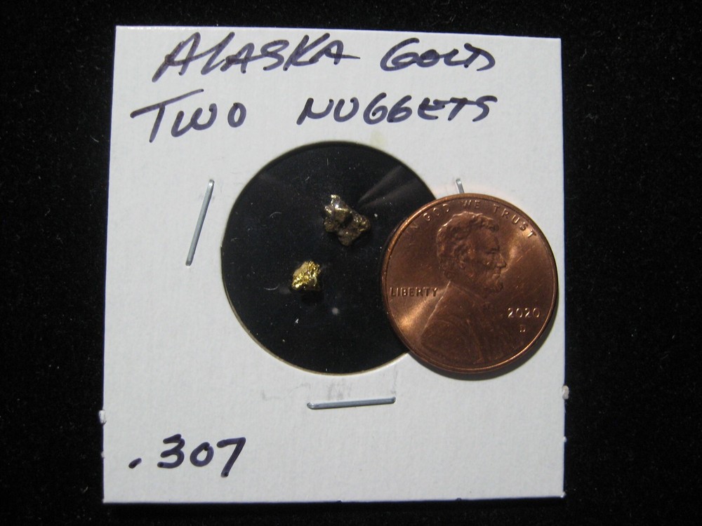 ALASKA GOLD NUGGETS  .307 GRAM