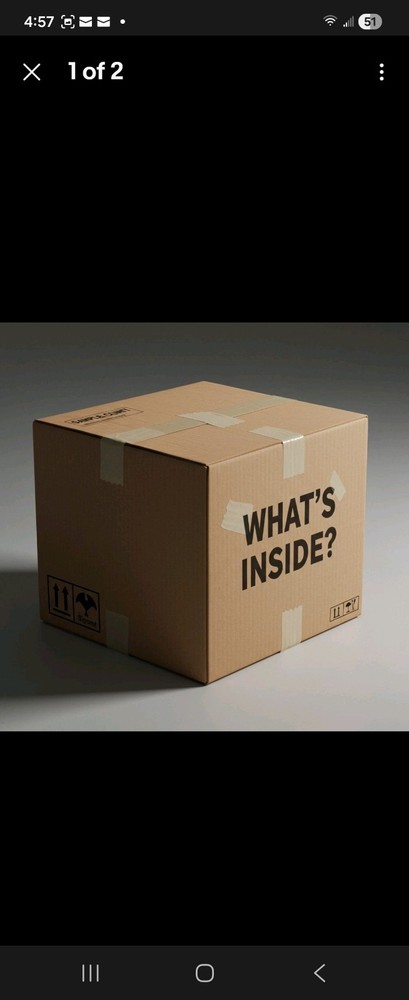 Myster Box NEW items Variety Box (221)