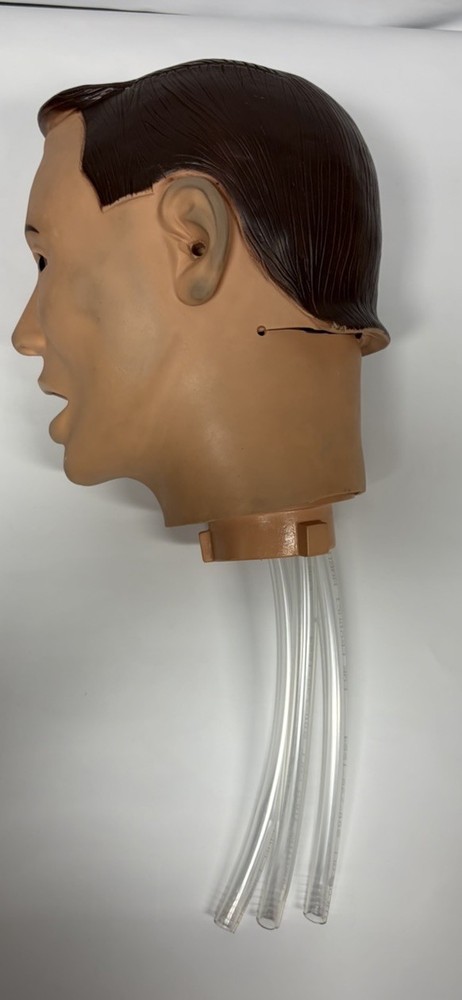 Medical Training Mannequin Dummy Head