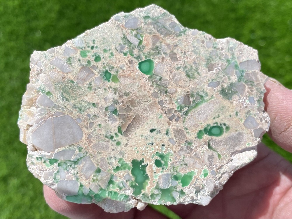 DIG-N-UTAH: VARISCITE UTAH POLISHED # L 608