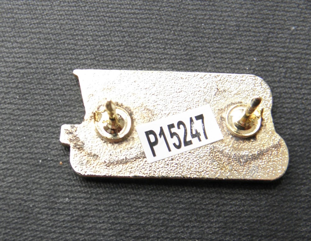 USAF FORCE AIR CREW CHIEF SCRIPT LAPEL PIN 1.1 INCH