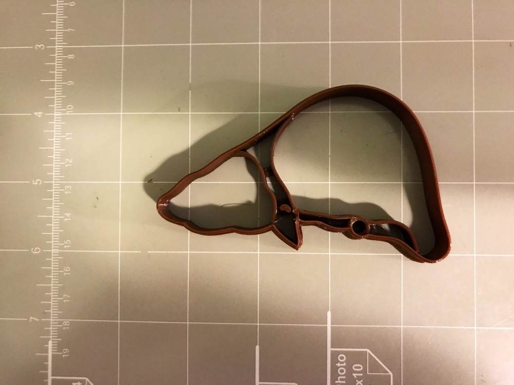 Liver Anatomy Cookie Cutter