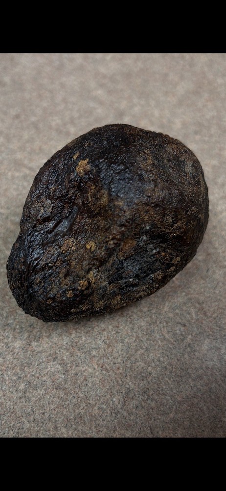 Avocado Stone