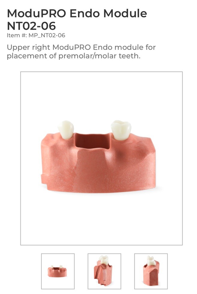 ACADENTAL ENDO Upper Anterior Module( M200)