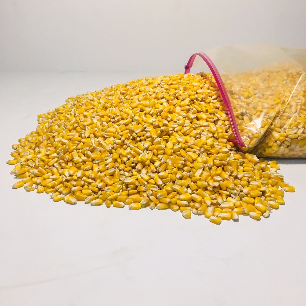 Whole Kernel Corn Animal Wildlife Feed Arts & Crafts 10 Lbs