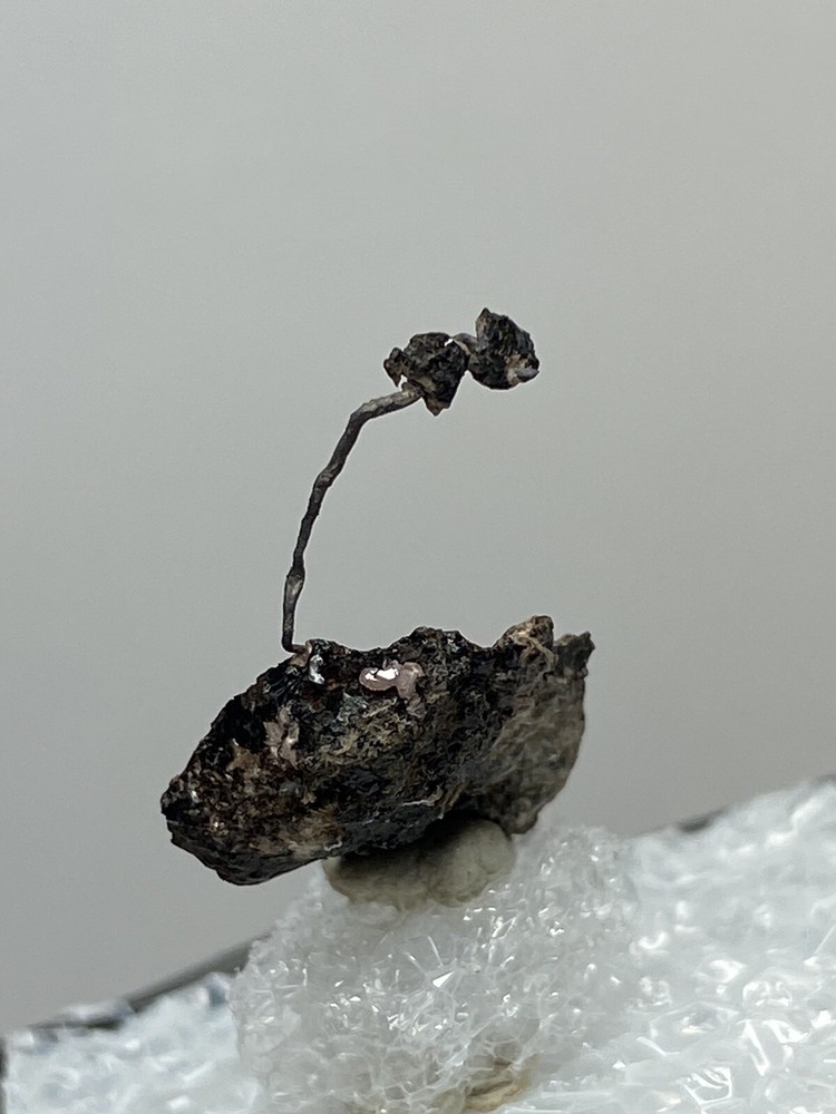 Silver Wire On Matrix - Uchucchacua Mine, Peru - Thumbnail