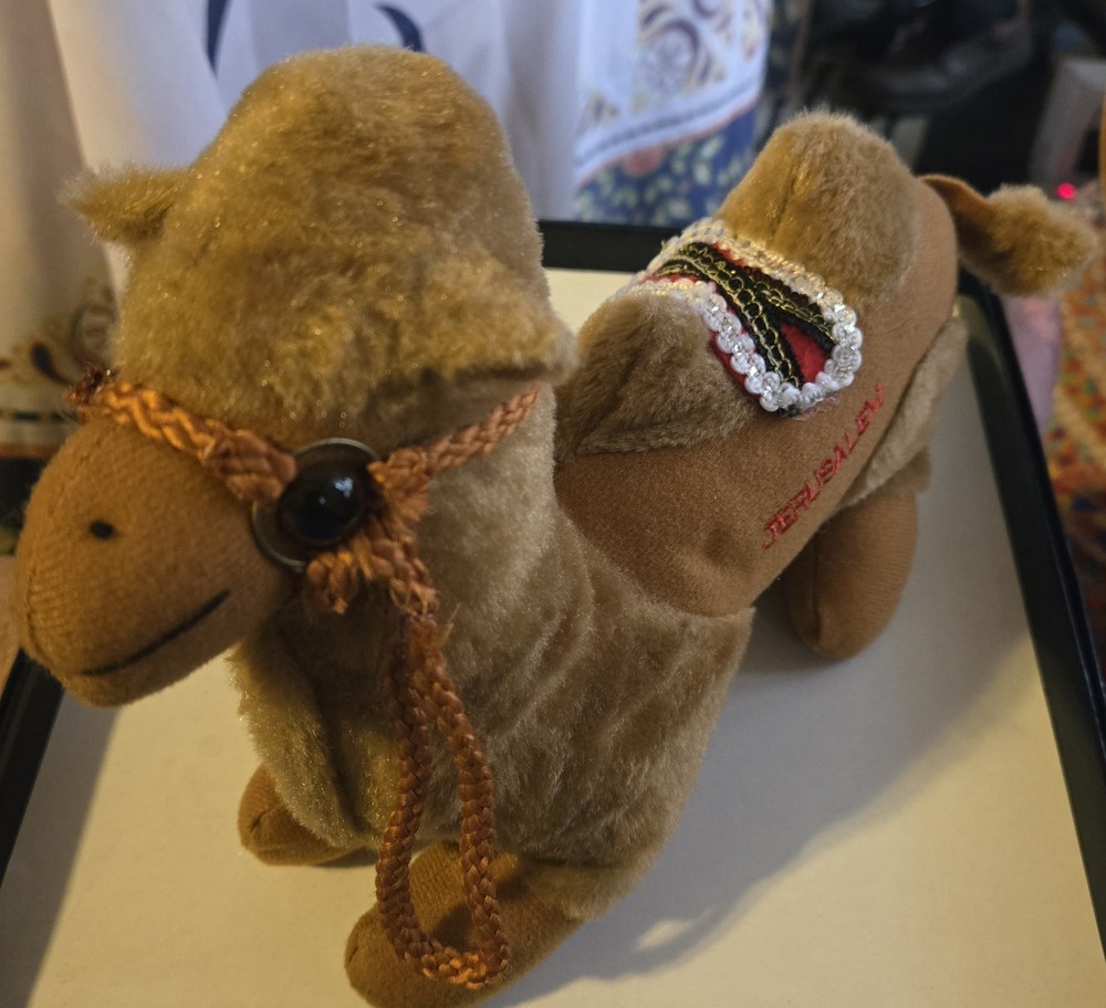Stuffrd Camel From JERUSALEM