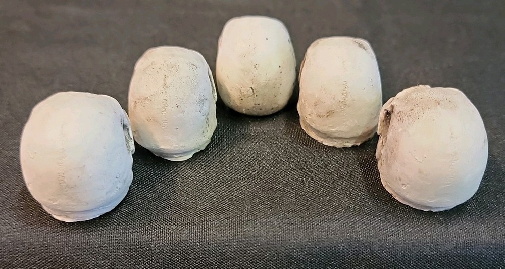 10 Piece Skull Lot