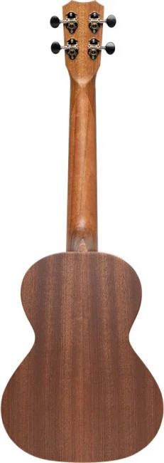 Traditional tenor ukulele with top