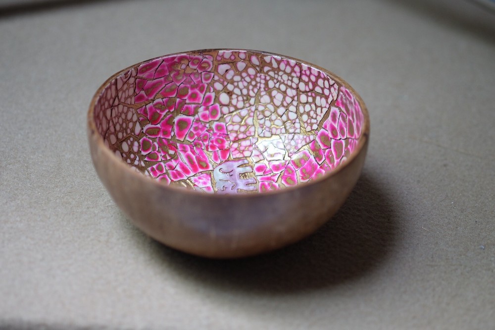 Coconut Shell Bowl Painted Snack Storage Home decor