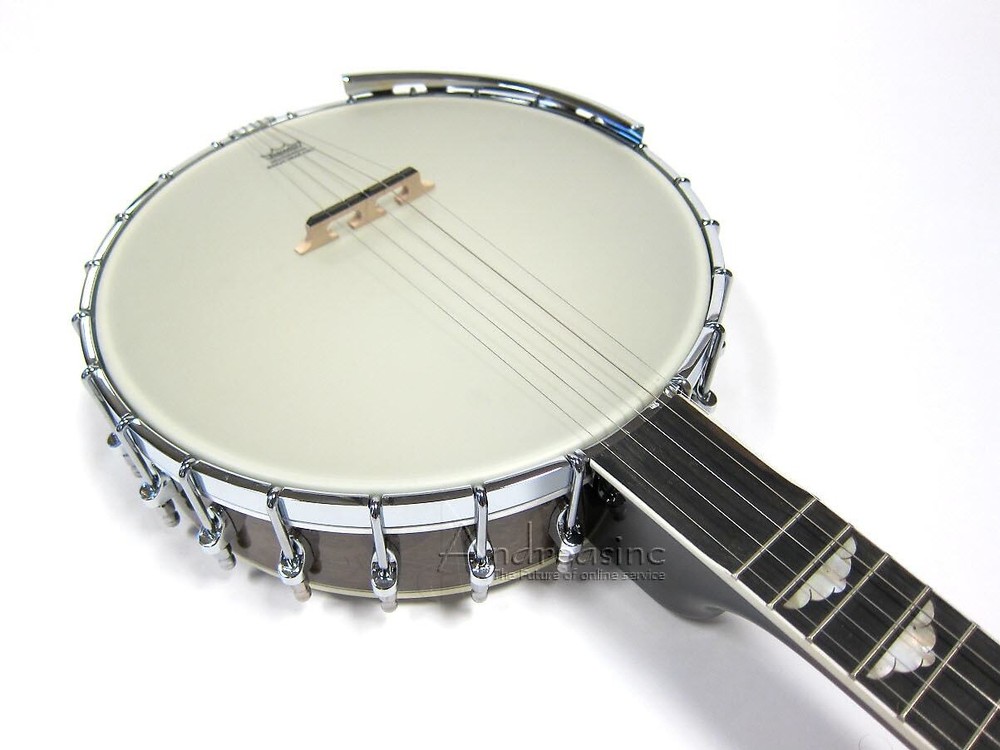 GOLD TONE 5-STRING PROFESSIONAL WHITE LADYE OPEN BACK BANJO ~ WL-250