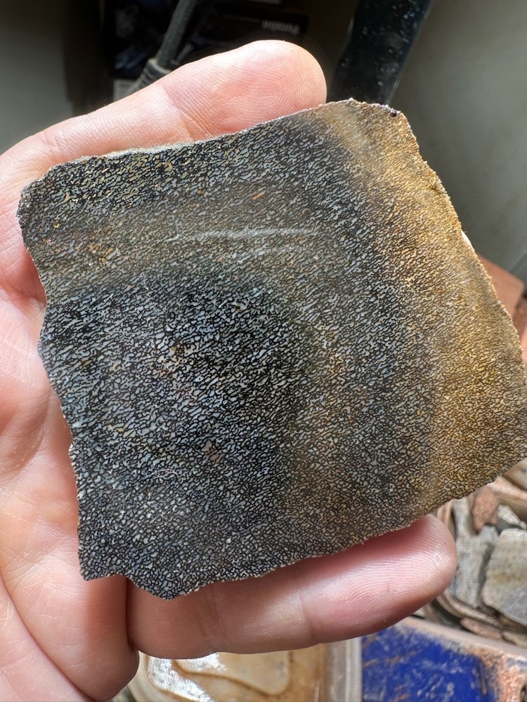 Dinosaur bone rough **hxtled slab.