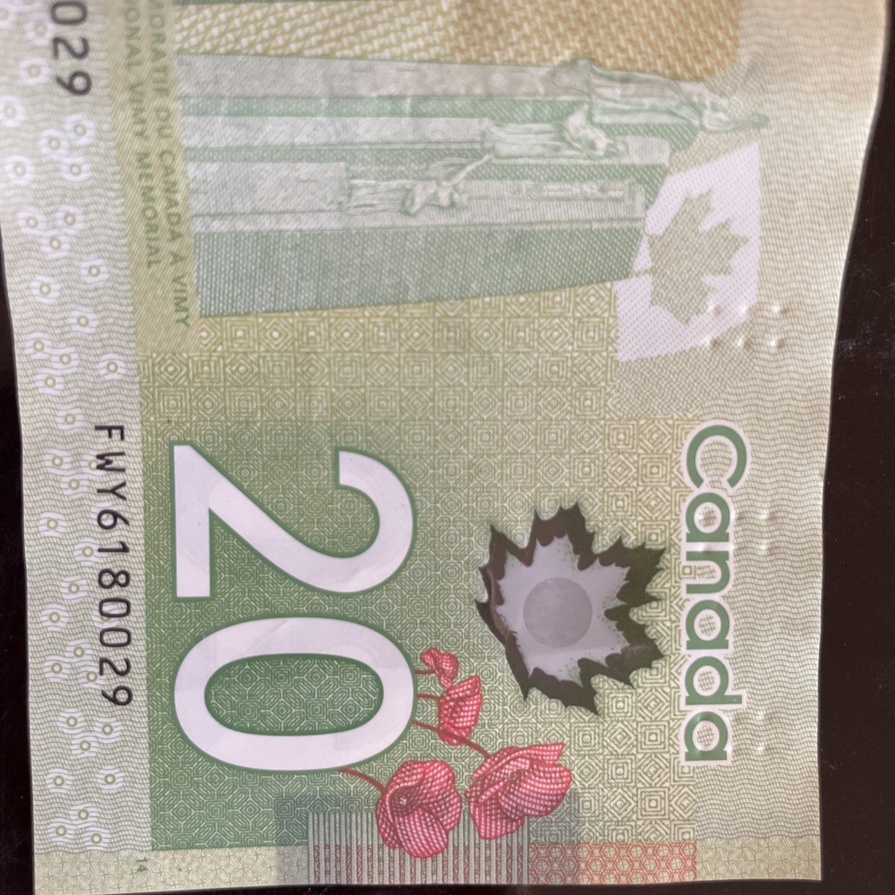 20 DOLLARS CANADA crisp with folds