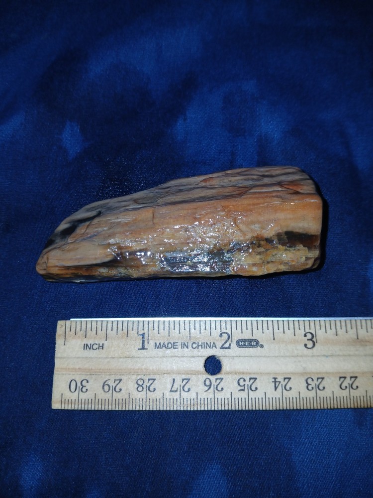 3.5 oz Agatized Petrified Wood