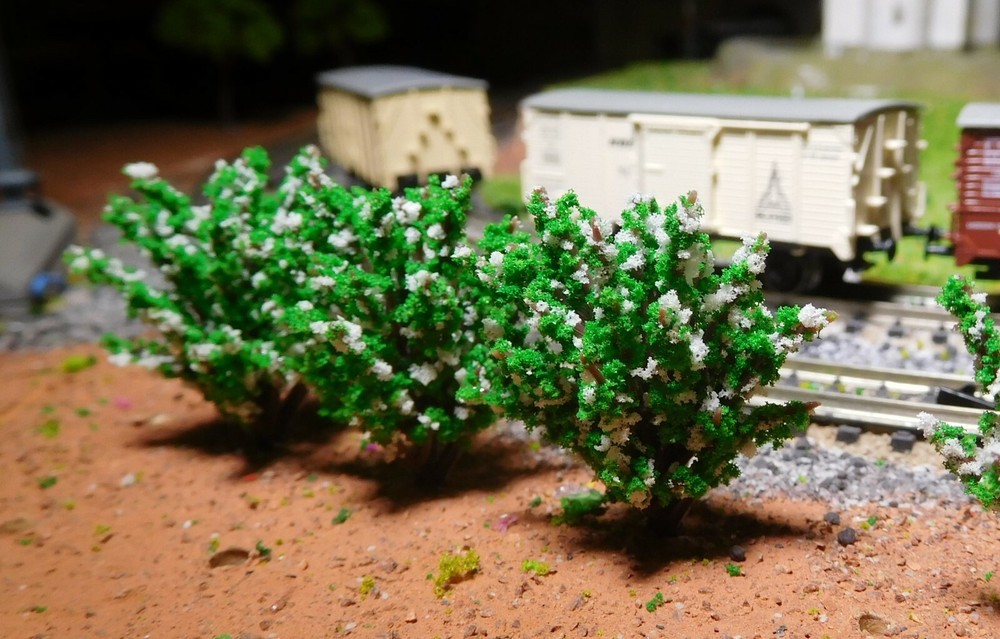 50 White Flowering Bushes, 40 Mm High
