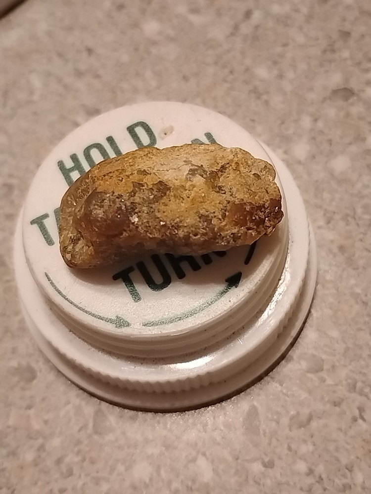Native Gold Specimen