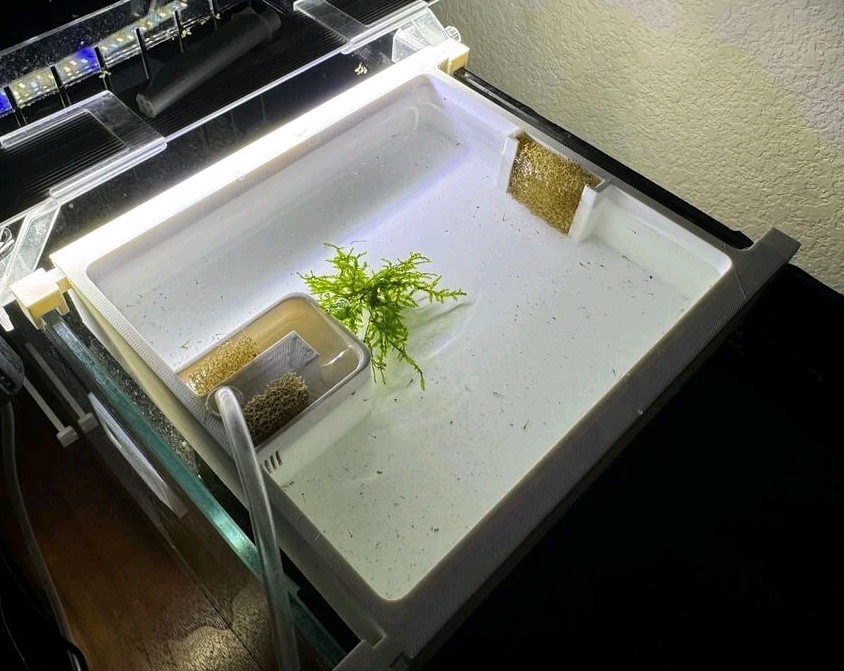 Fry Breeding Tray 3d Printed