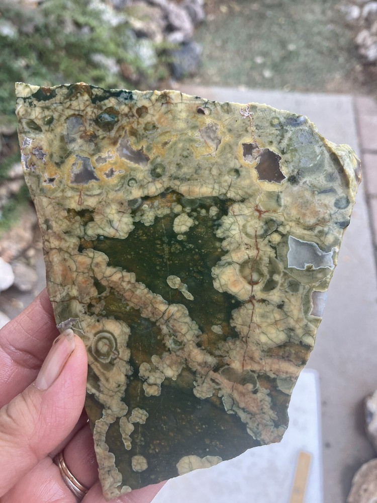 Rainforest Jasper Slab