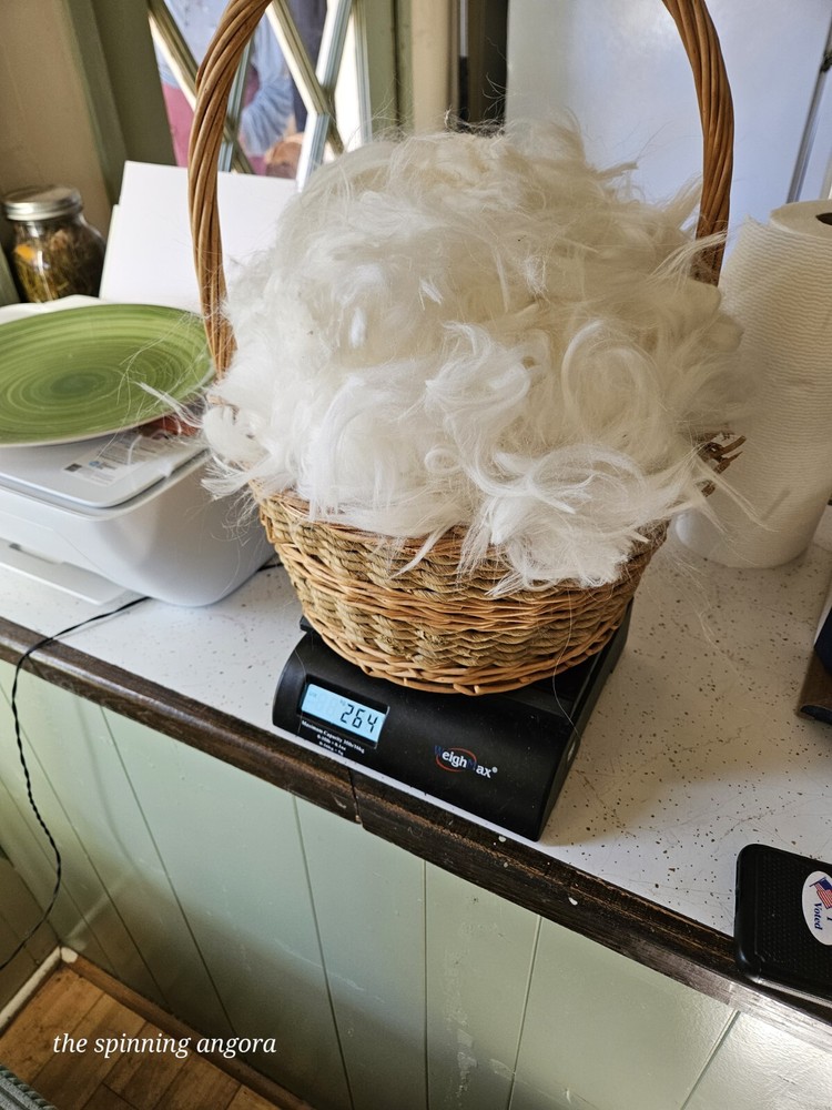 Angora Spinning Wool