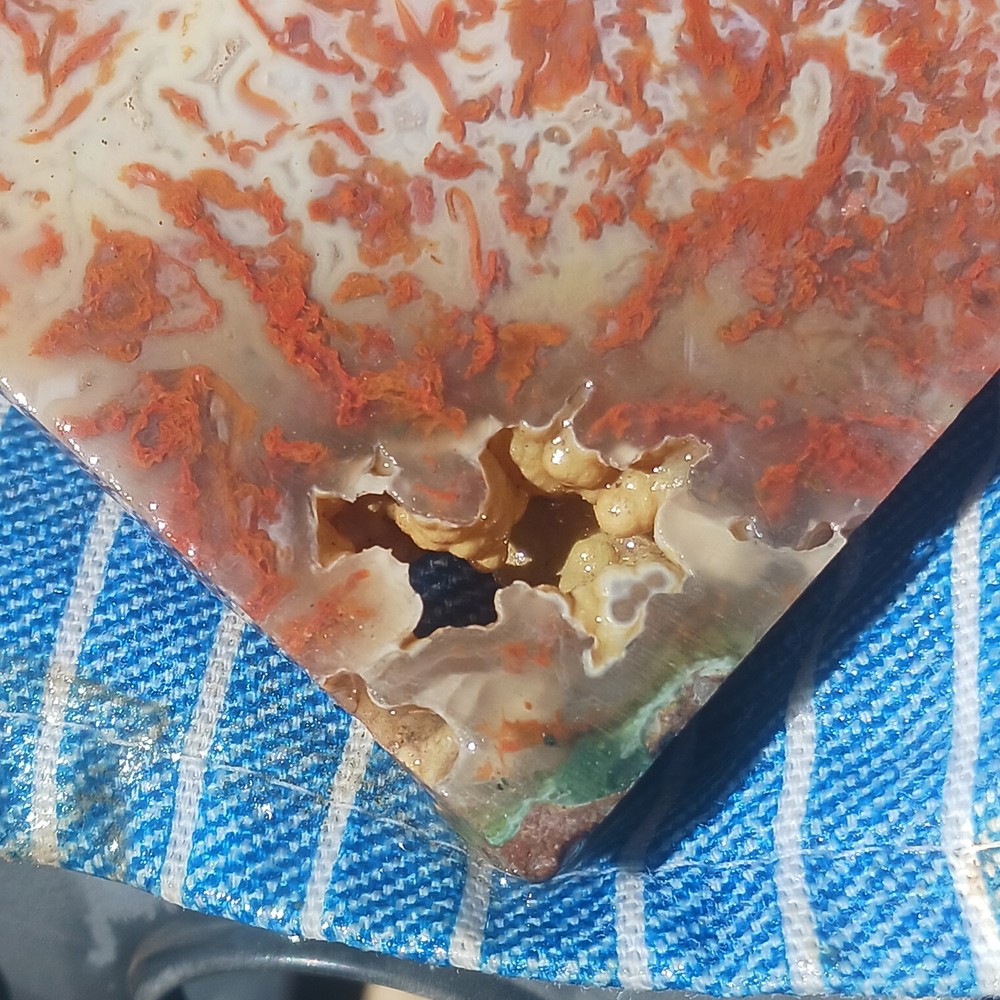 BIG Moss Agate Slab Ready For Lapidary