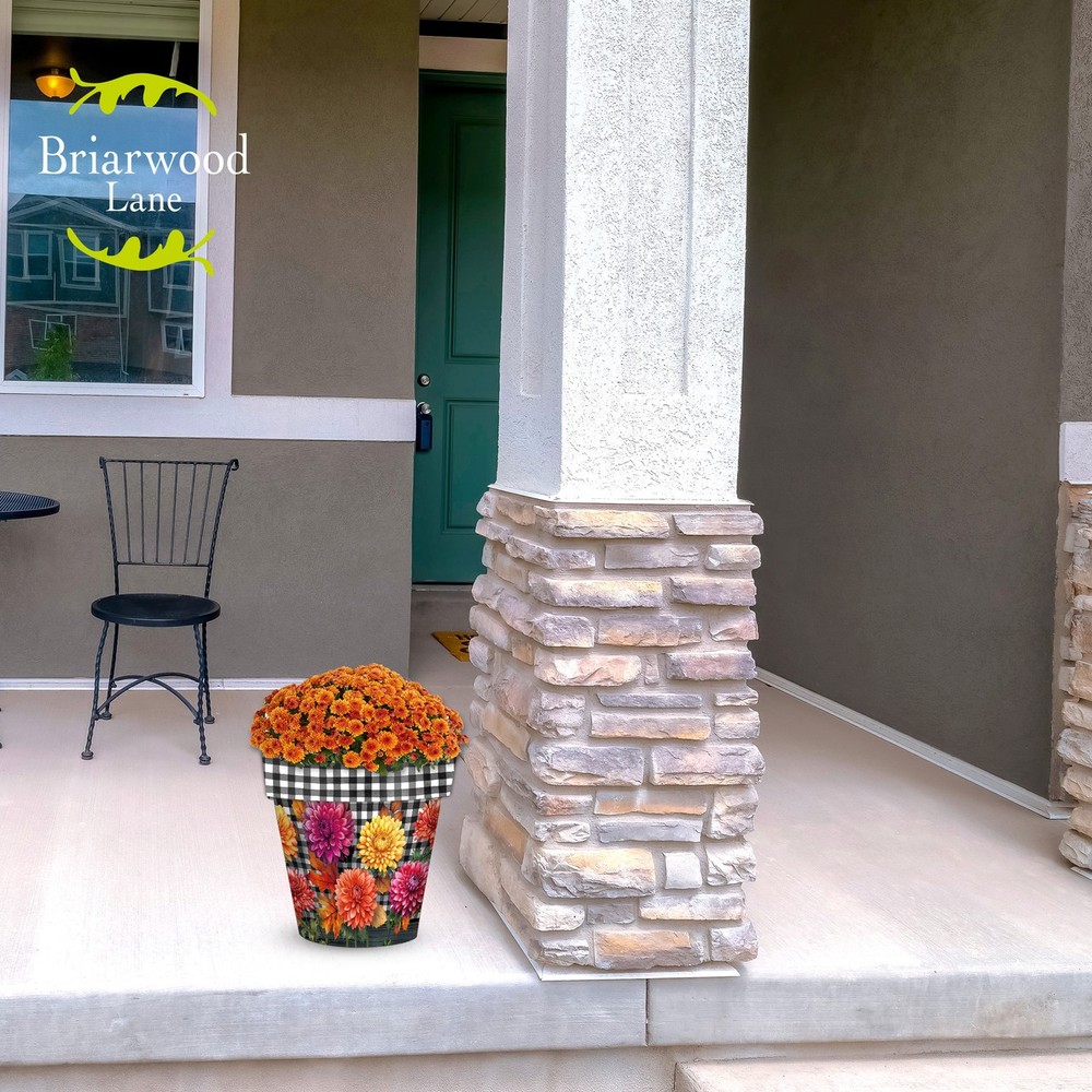Briarwood Lane Checkered Mums Medium Planter