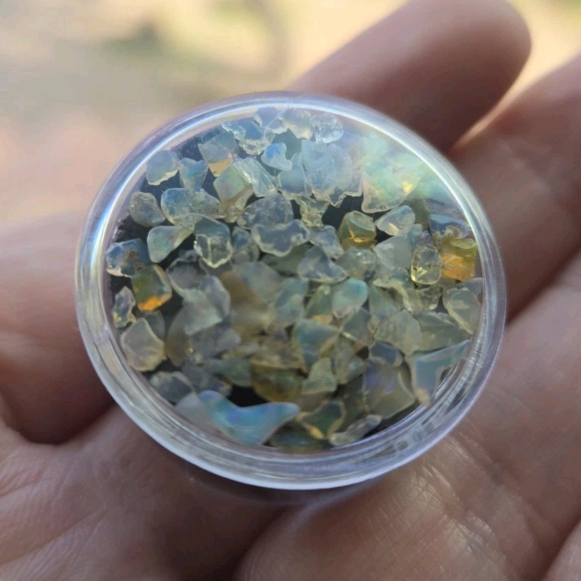 5ct Opal Rainbow Flash Chippies in Gem Jar